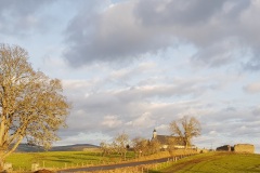 The Castle and its Flora and Fauna