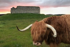 Murdo by Andrew Marrion