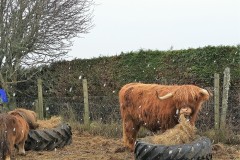 Murdo and Poppy