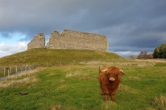 Murdo, Castle Roy