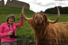 Murdo, Castle Roy