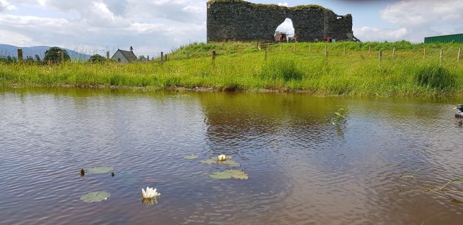 Castle Roy from the view of the pond